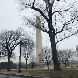 Meet your Posher, Pedro